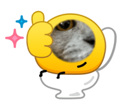 879153685