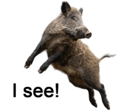 879168875