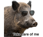 879168884