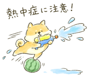 879169857