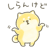 879169887