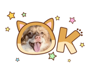 879181303