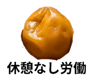 879183304