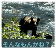 879183903