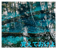 879183907