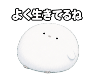879197557