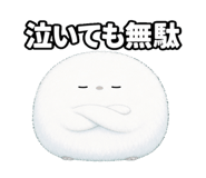 879197589