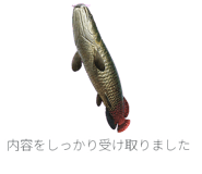 879197681