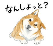 879198442
