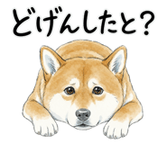879198450
