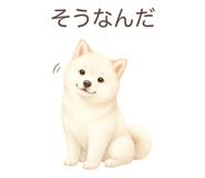 879198577