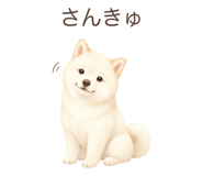 879198607
