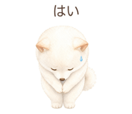 879198613