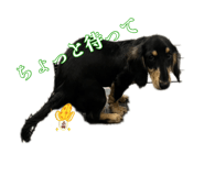 879199618