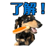 879199620
