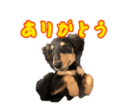 879199621