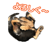 879199622