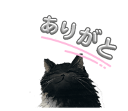 879199913