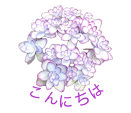 879203618
