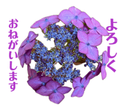 879203620