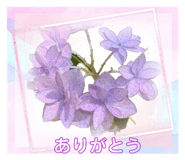 879203621