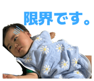 879204621