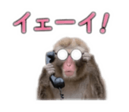 879214776