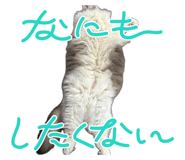 879214947