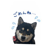 879215782