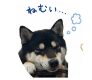 879215787
