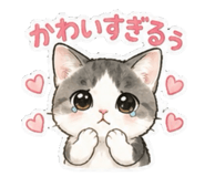 879224677