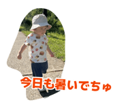 879224703
