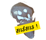 879224756