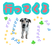 879252057