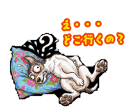 879252063