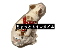 879252298