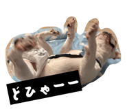 879252300