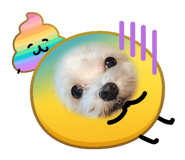 879291098