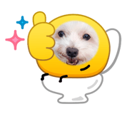 879291100
