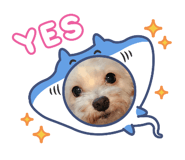 879291108
