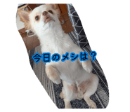 879291130