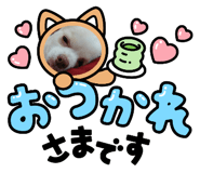 879291134