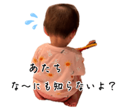 879291204