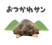 879291652