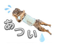 879310252
