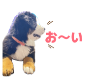 879315896
