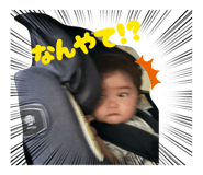 879316562