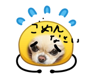 879316592