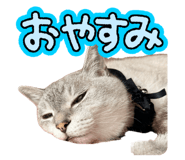 879325627
