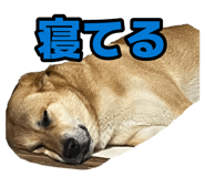 879327225